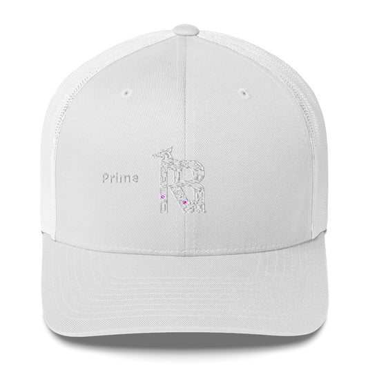 Primitive Trucker Cap - Official primitive store